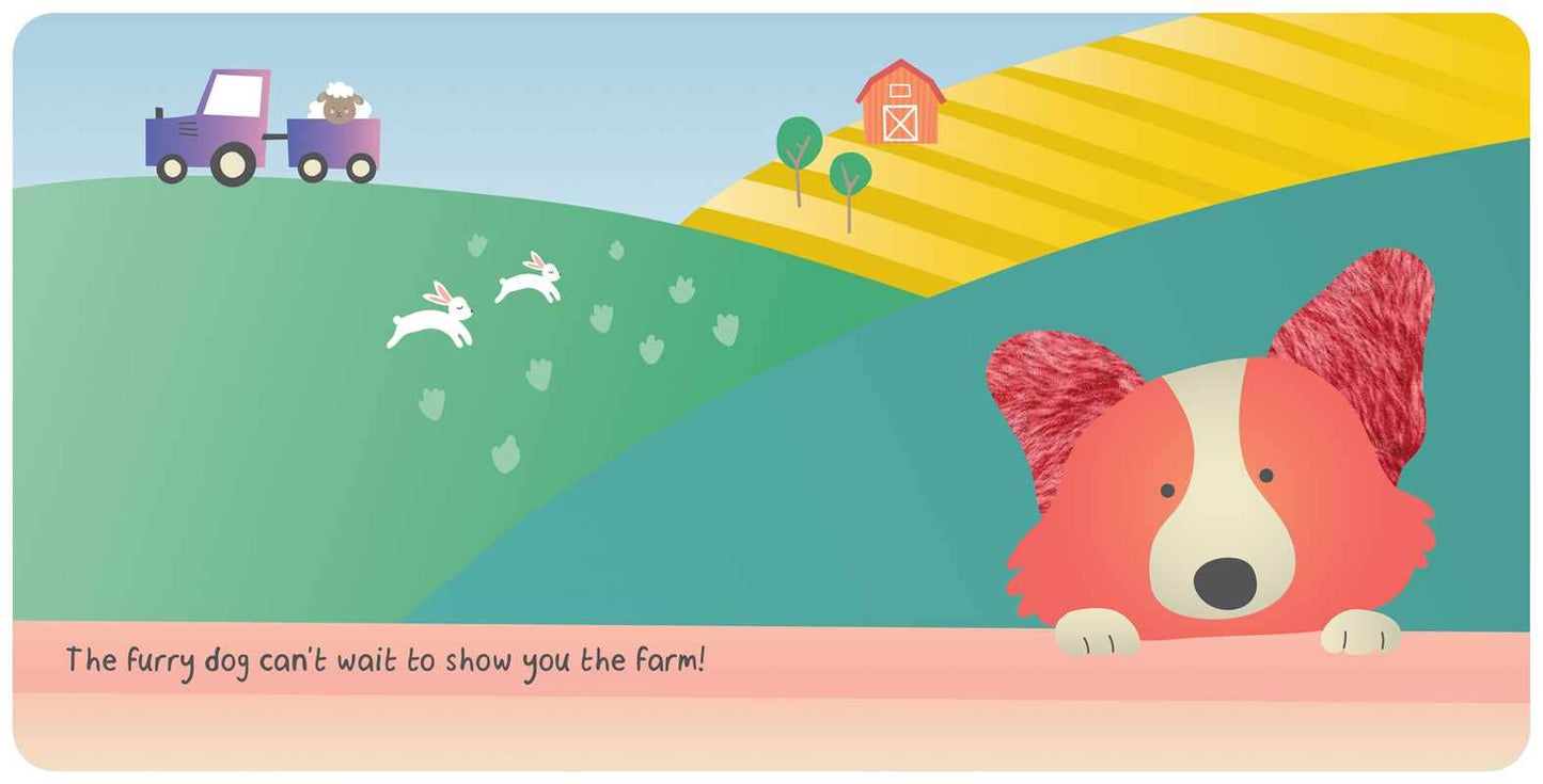 Touch & Feel | Farm animals